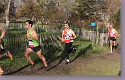 Begles 15.12.13 01 1075 * 680 x 427 * (167KB)